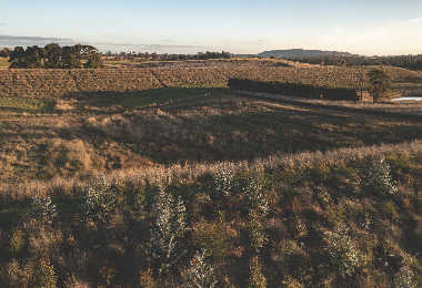 Berrima-12
