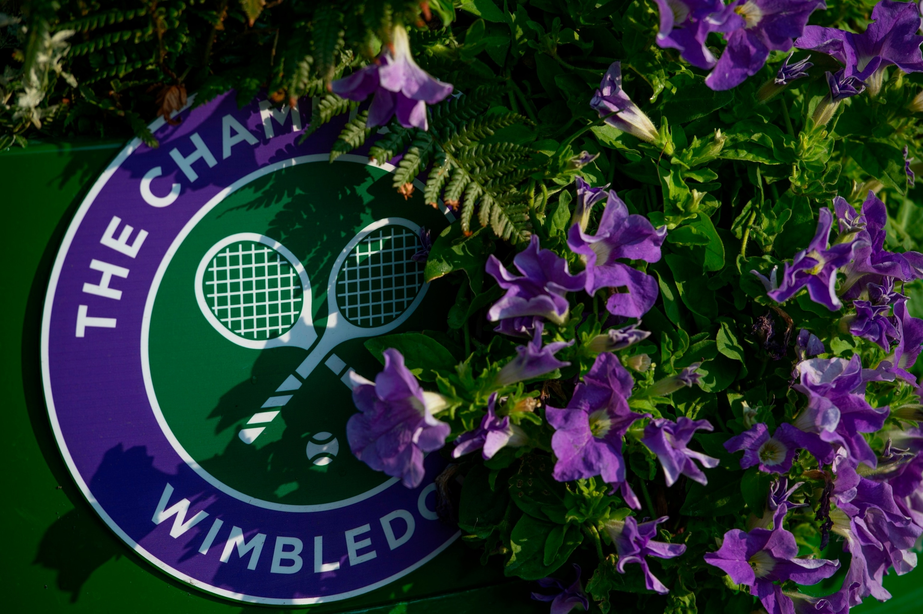 PHOTO:Official Wimbledon branding amongst color coordinated petunias on day twelve of the Wimbledon Lawn Tennis Championships at the All England Lawn Tennis and Croquet Club on July 14, 2018 in London.